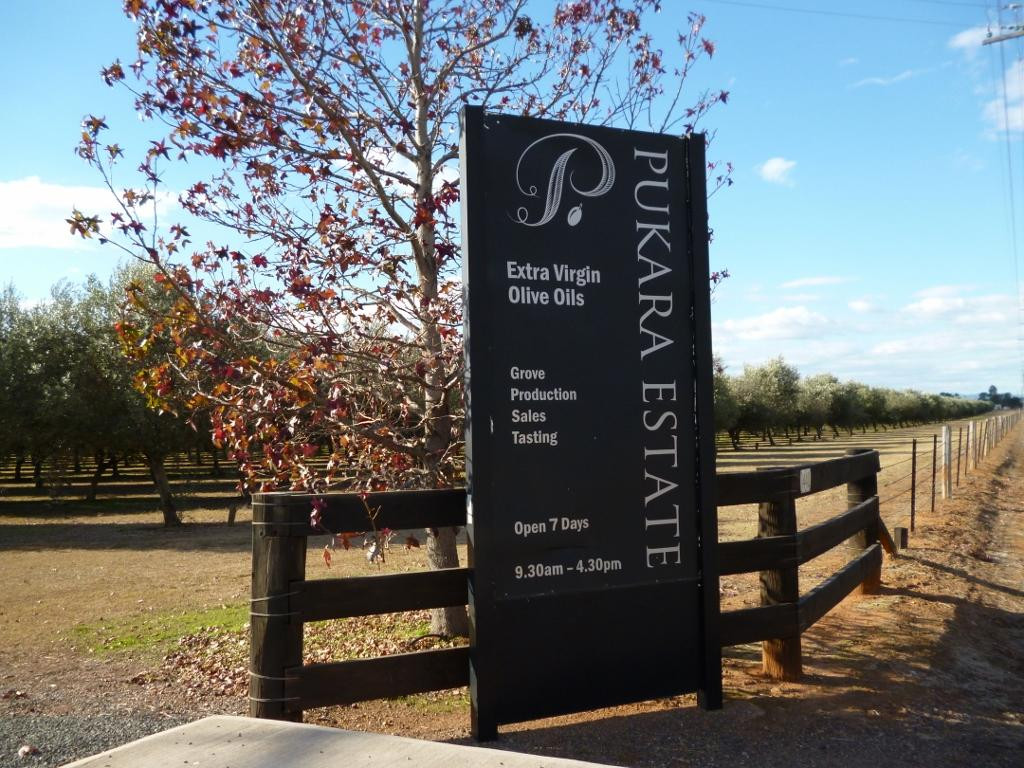 Pukara Estate-Muswellbrook必去景点