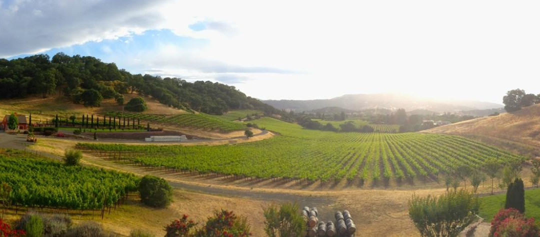 Vezer Family Vineyard-费尔菲尔德必去景点