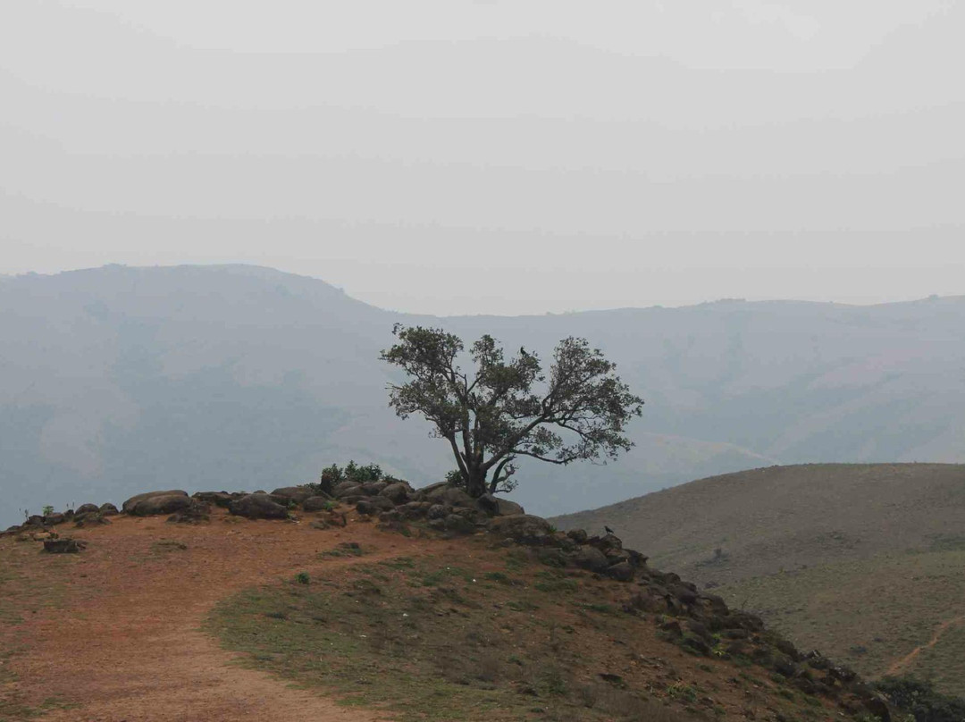 Mandalpatti Peak景点图片