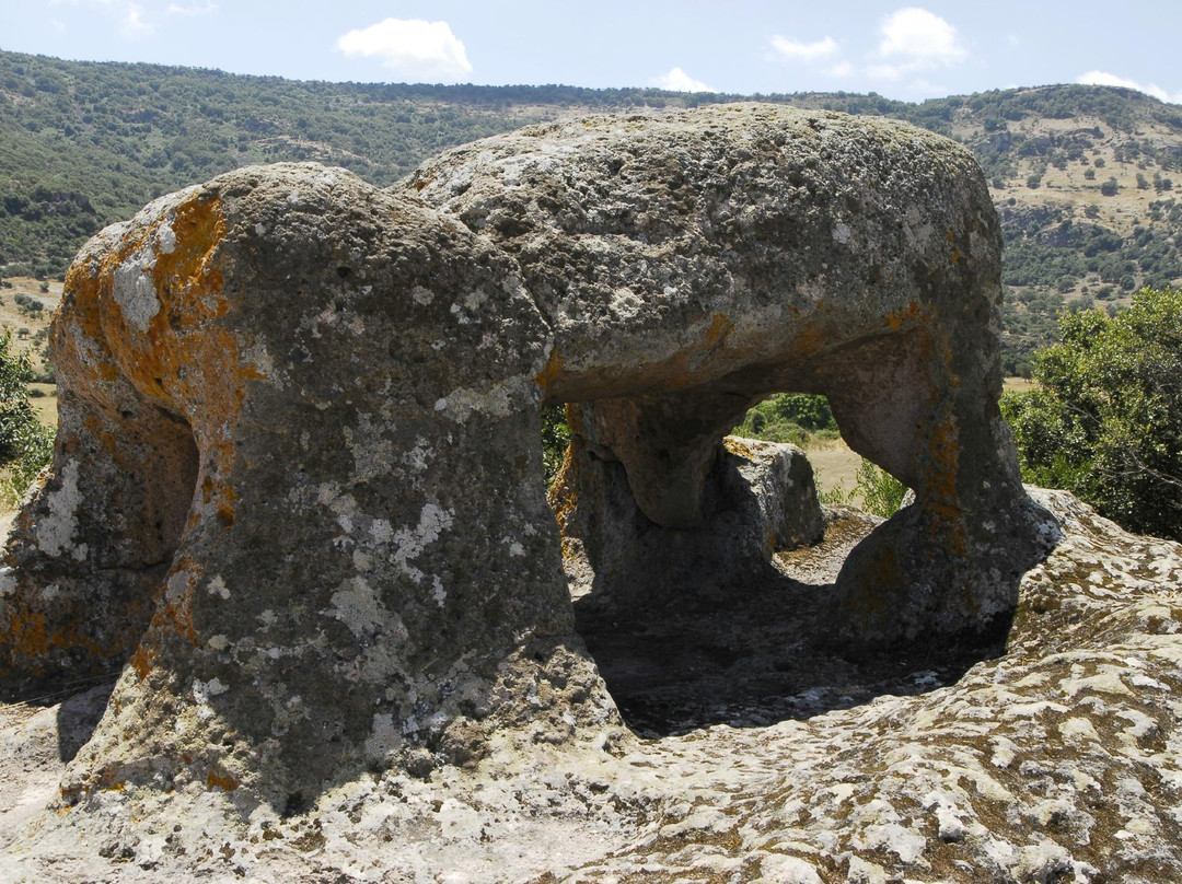 Bonorva旅游景点-Necropolis of Sant'Andrea Priu