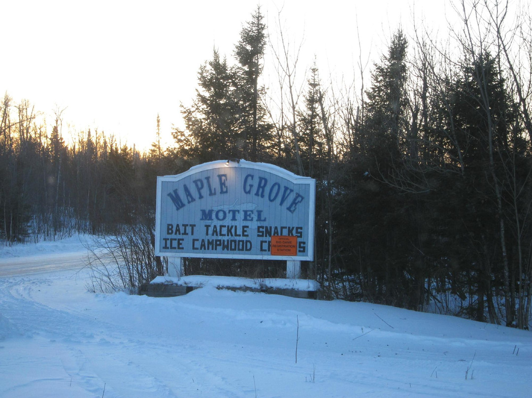 Maple Grove Motel主图