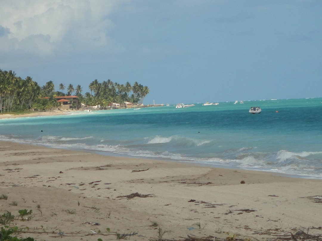 Praia Burgalhau-Maragogi必去景点