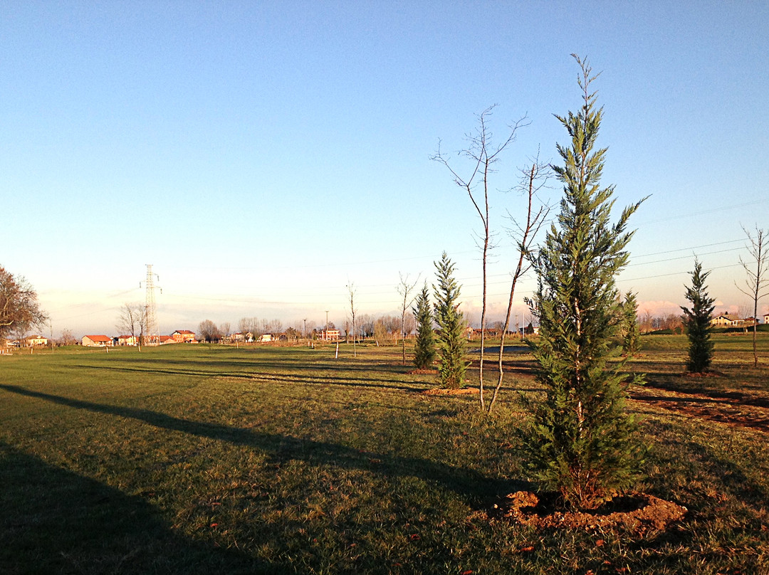 Torre dei Ronchi Golf Club景点图片