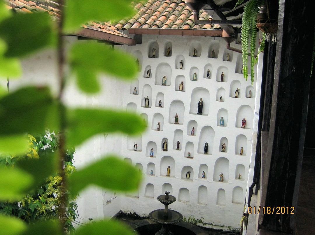 Museo Municipal de Arte Moderno景点图片