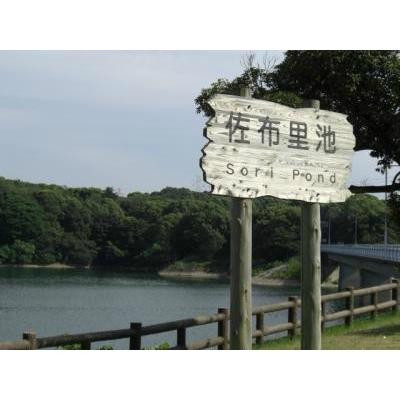 Sori Pond景点图片