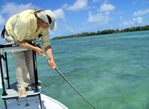 Key West Fly Fishing景点图片