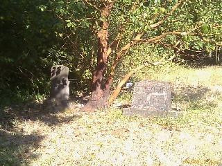 Ankeny Vineyard-塞勒姆必去景点