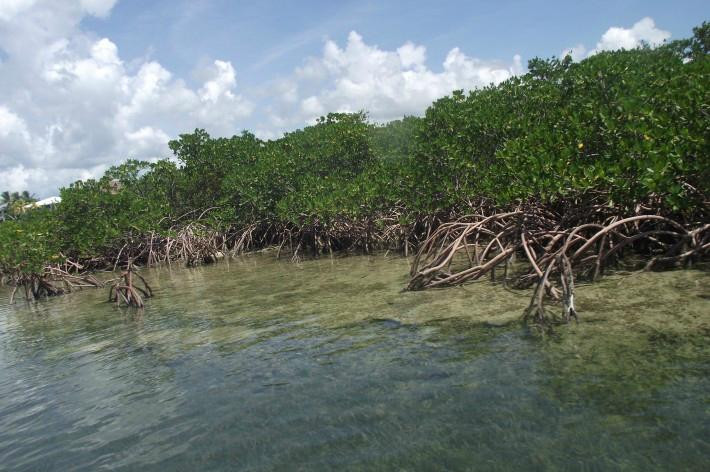 MiLo Watersports-Summerland Key必去景点