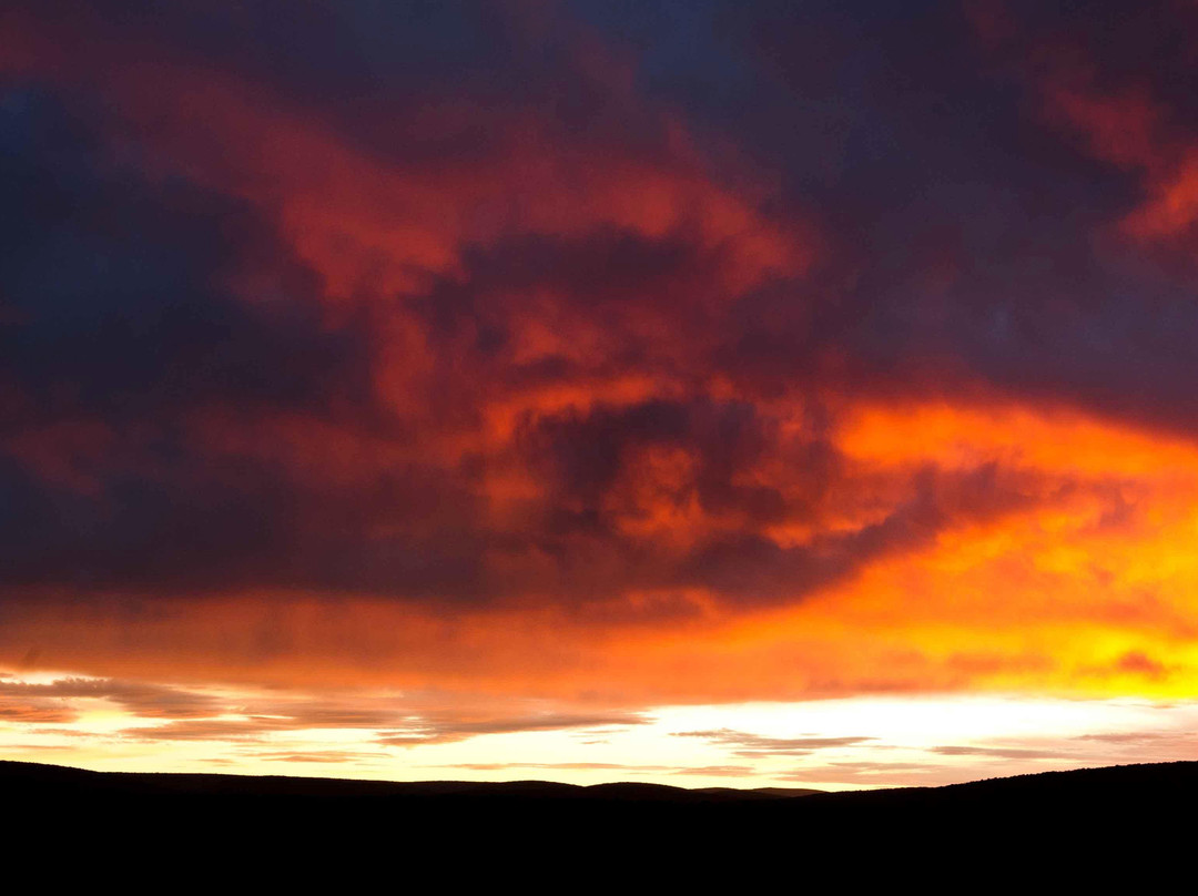 Shamwari Private Game Reserve-伊丽莎白港必去景点