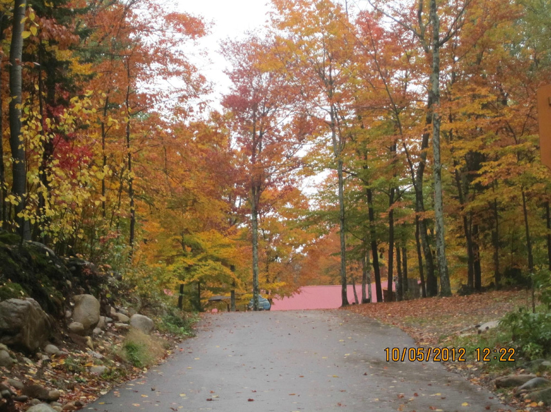 Croisieres Charlevoix-Saint-Simeon必去景点