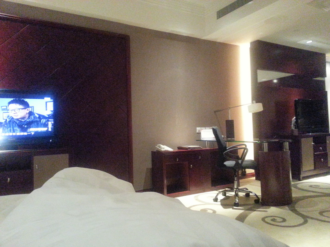 大同金地豪生大酒店主图