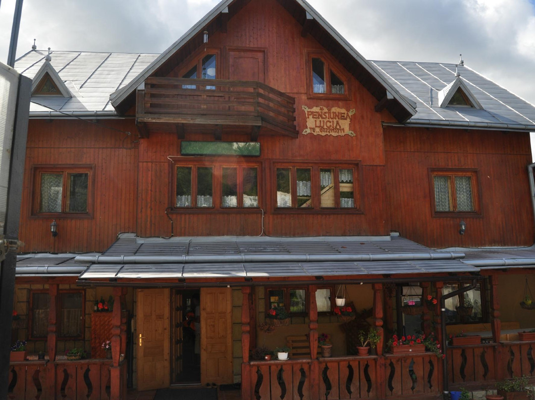 Vama酒店住宿-Pension Lucia Bucovina
