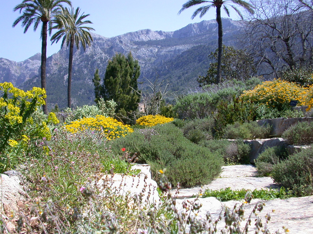 Jardín Botánico de Sóller景点图片