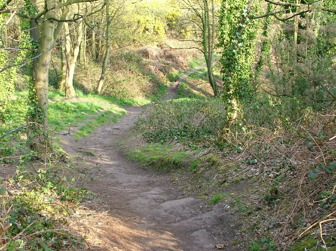 Caldy Hills-West Kirby必去景点
