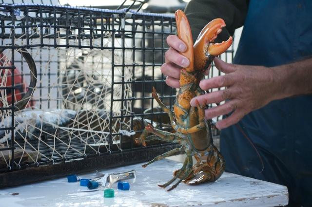 On the Sea with the Coastal Fishermen Day Tours景点图片