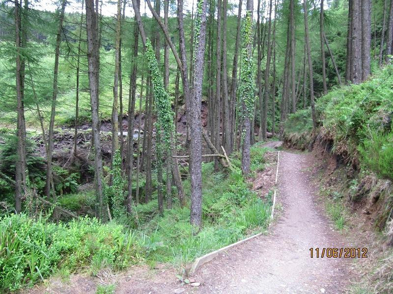Ballyhoura Walking Trails-利默里克必去景点