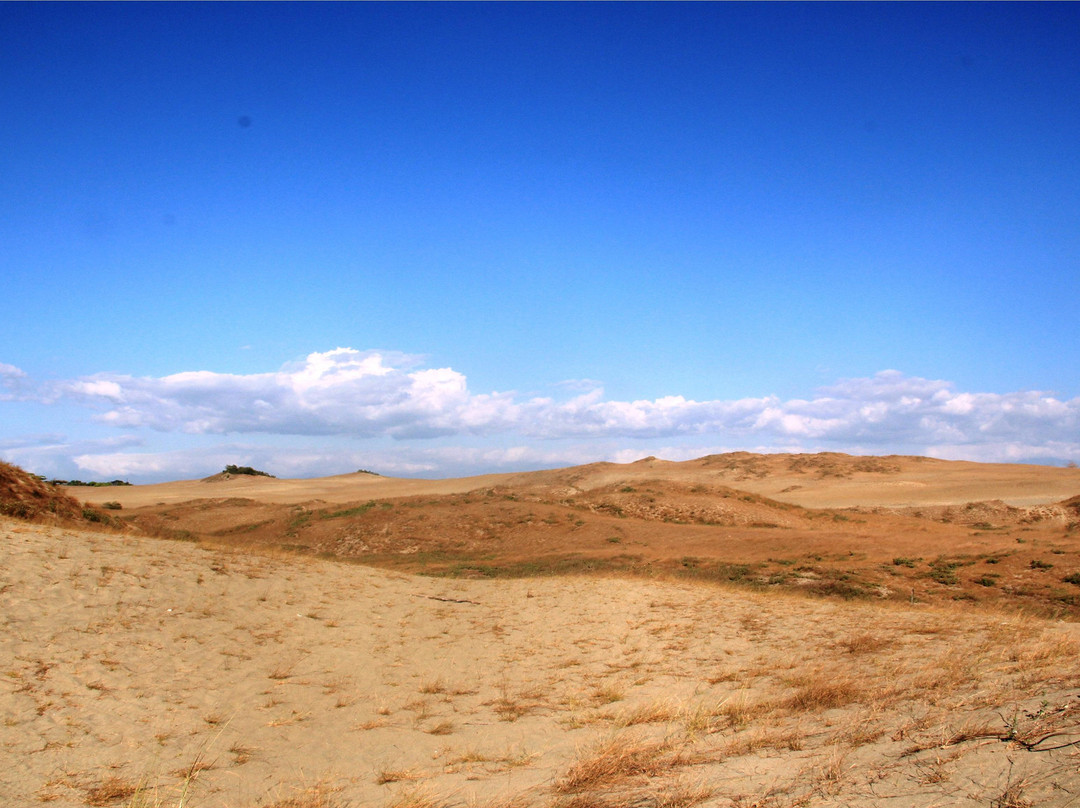 La Paz Sand Dunes景点图片