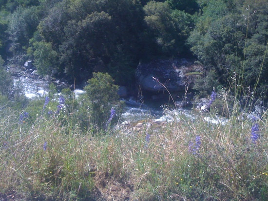 巨人森林-红杉&国王峡谷国家公园必去景点