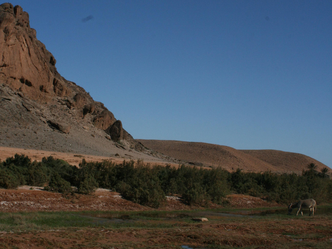 Tan-Tan Plage-Tan-Tan必去景点