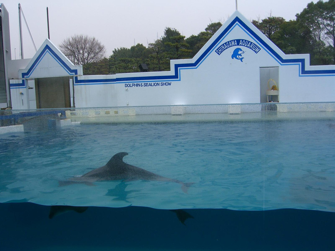 品川水族馆-品川区必去景点