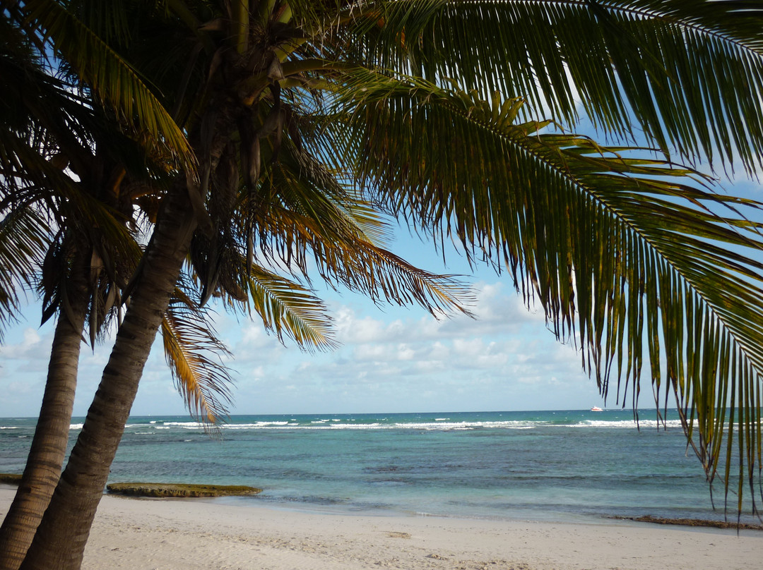 Plage des Raisins Clairs-Saint Francois必去景点