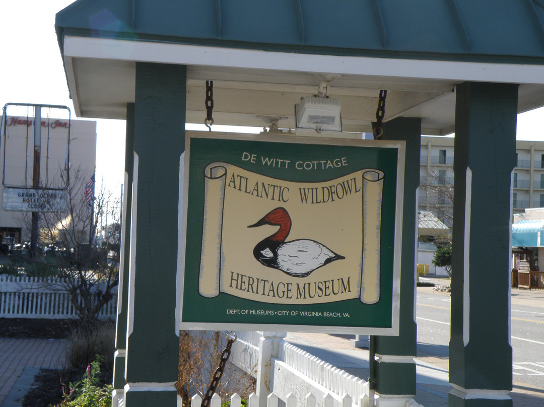 Atlantic Wildfowl Heritage Museum-弗吉尼亚海滩必去景点