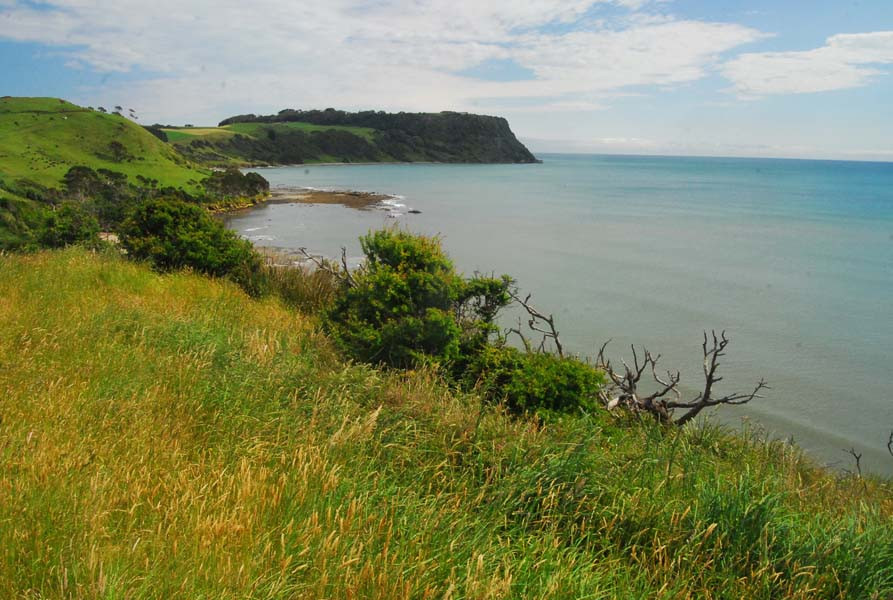 Fossil Bluff-温耶德必去景点