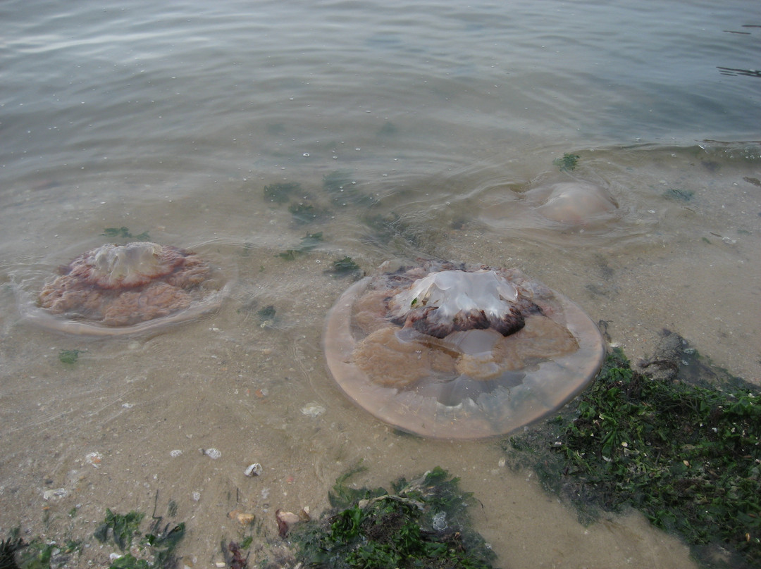 葫芦岛碣石-绥中县必去景点