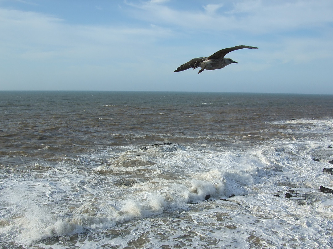 索维拉堡垒-索维拉必去景点