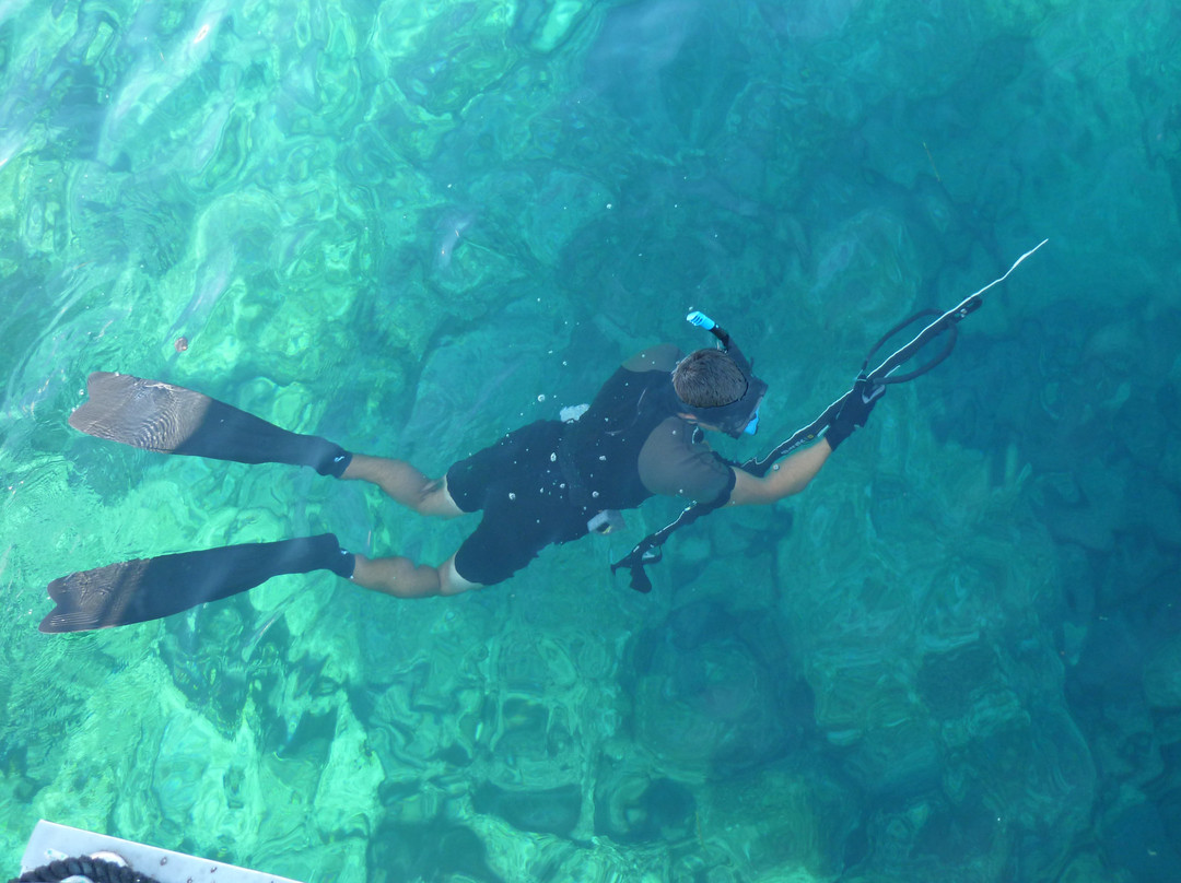 Boat Trips by Captain Ergun-卡斯必去景点