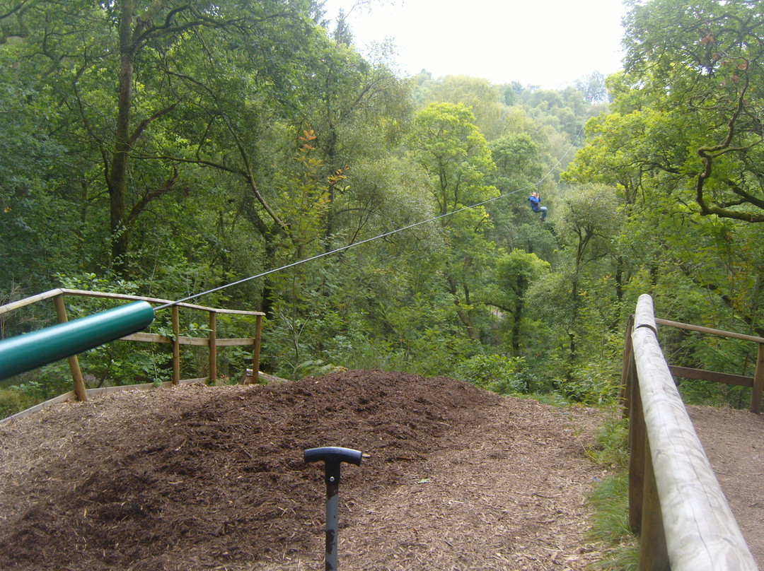 Go Ape-Aberfoyle必去景点