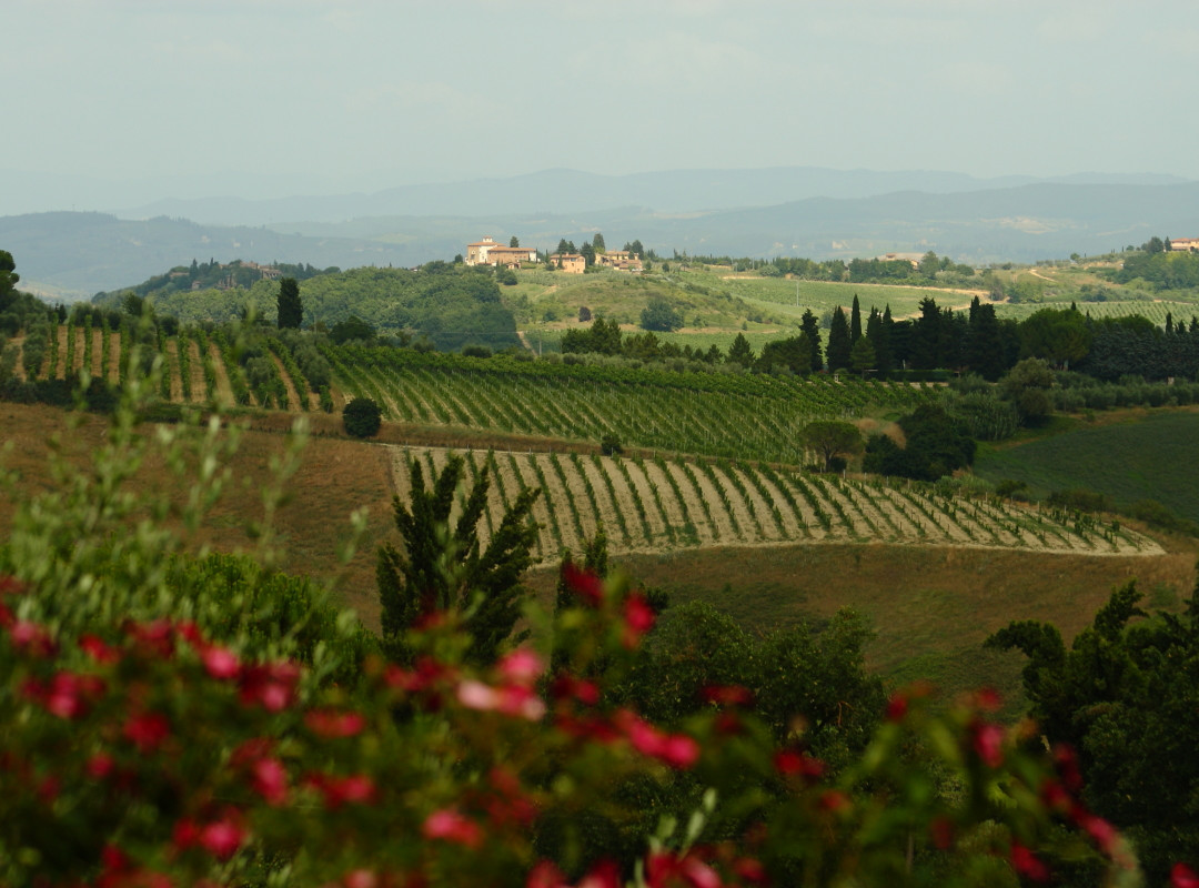 Tenuta Guardastelle - Boutique Winery景点图片