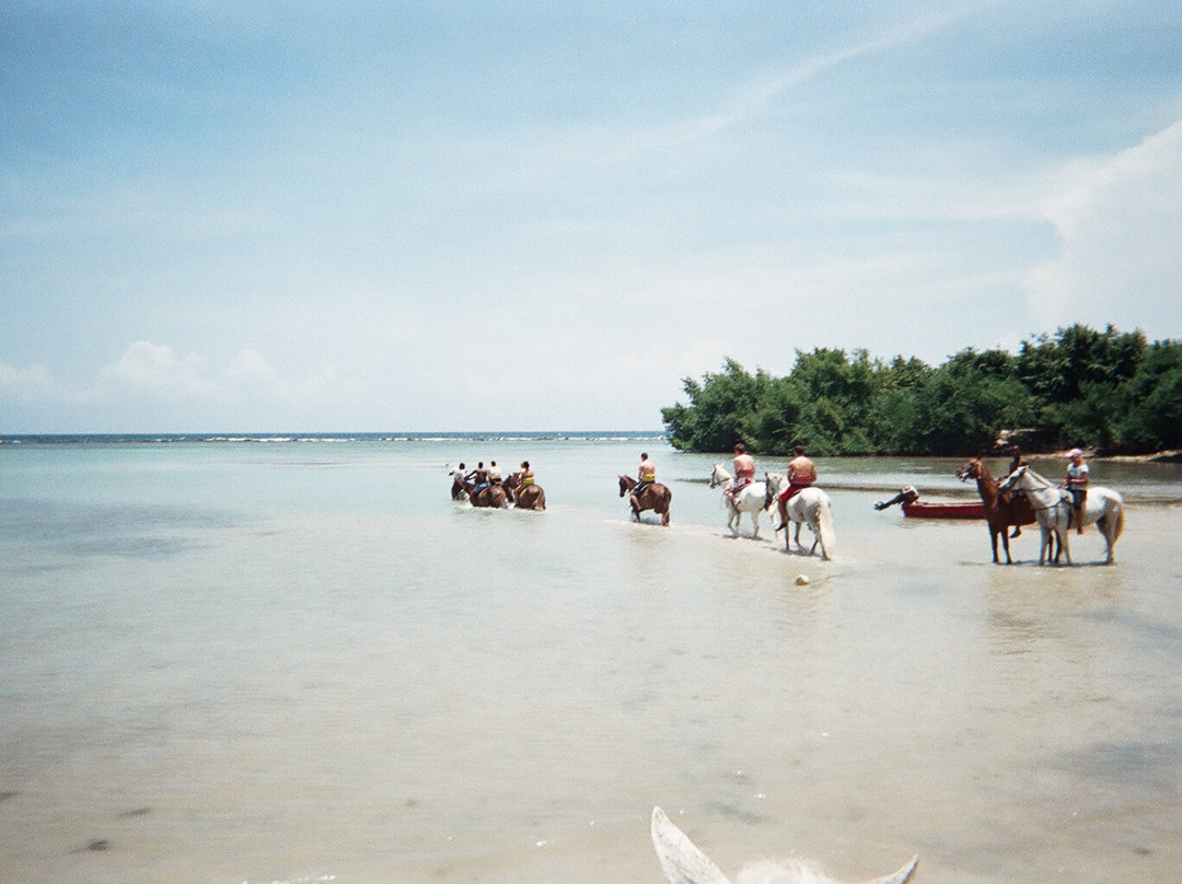 CHUKKA Ocean Outpost at Sandy Bay-Sandy Bay必去景点