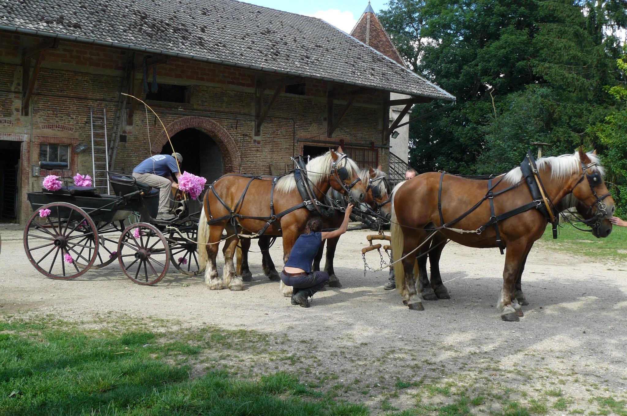 Ferme de Sainte Marie-客卧
