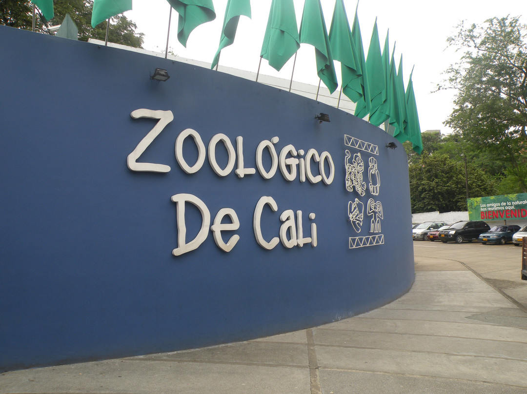 Zoologico de Cali-卡利必去景点