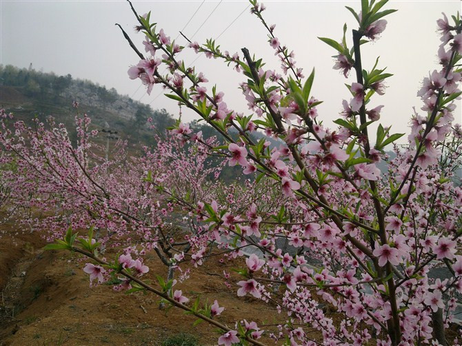 西游神话世界—女儿国风景区酒店主图