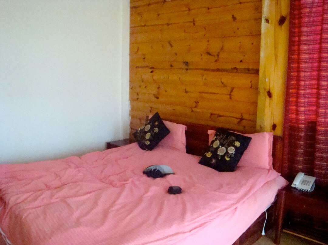 陌上花开国际青年旅舍主图