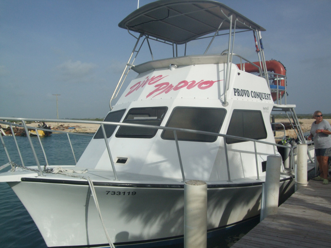 Dive Provo-普罗维登西亚莱斯必去景点