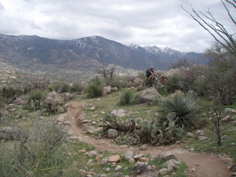 The Oasis at Way Out West-客卧