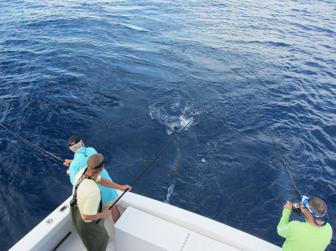 Drop Back Fishing Charters-伊斯拉摩拉达必去景点