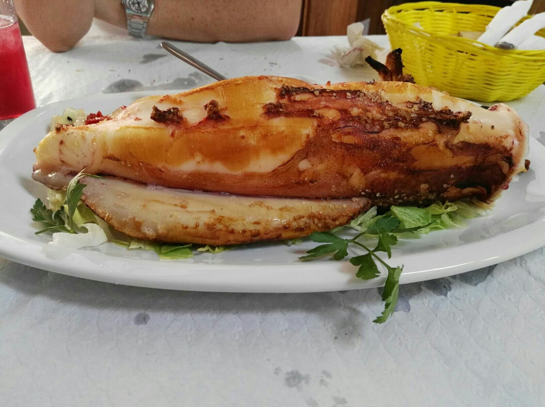 Morche餐馆和美食-Yolimar