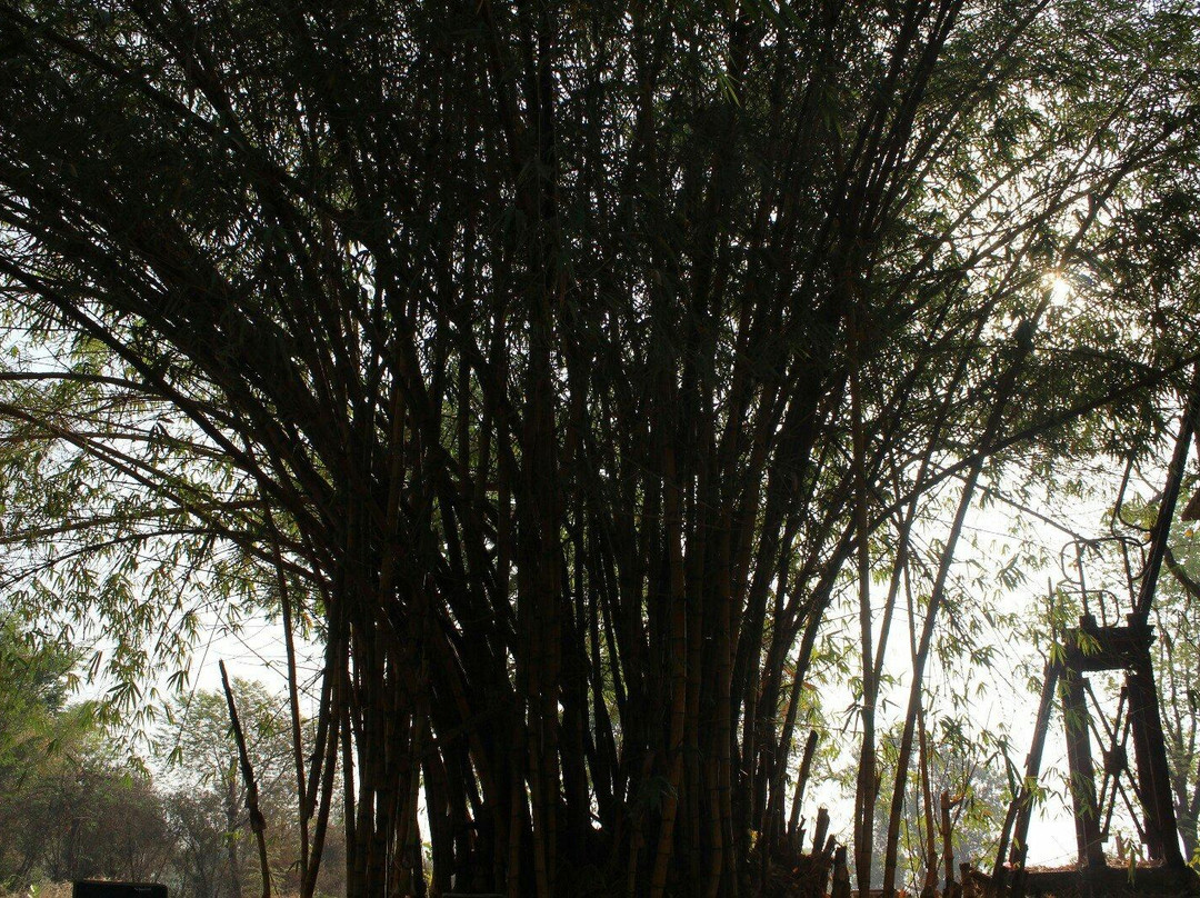 Nirvana River Retreat