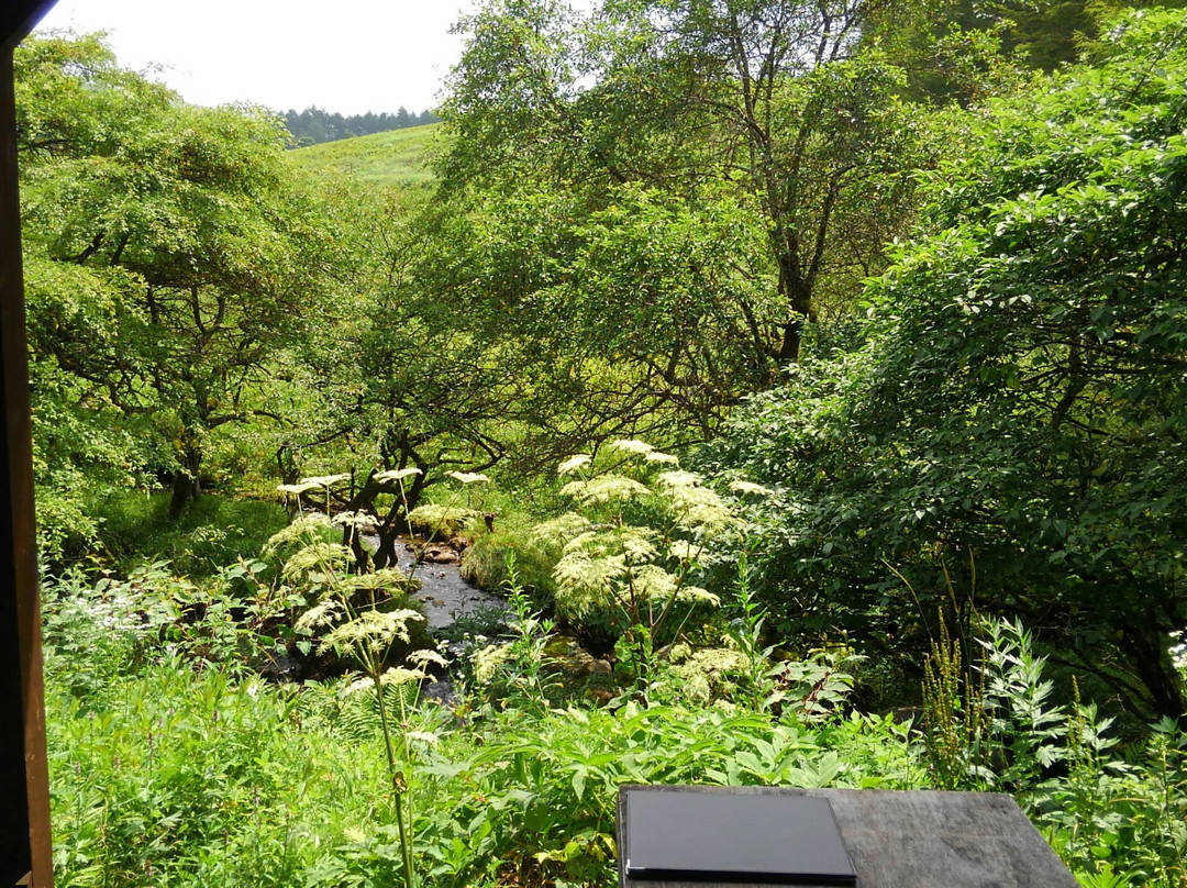 Hutte Misayama
