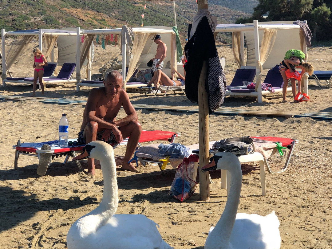 Παραλια Ατενι-安德罗斯必去景点