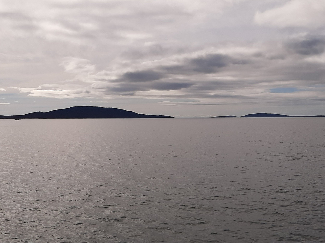 Promenade Du Vieux-quai-七岛港必去景点