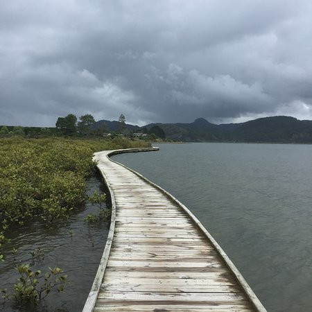 Pauanui Trail景点图片