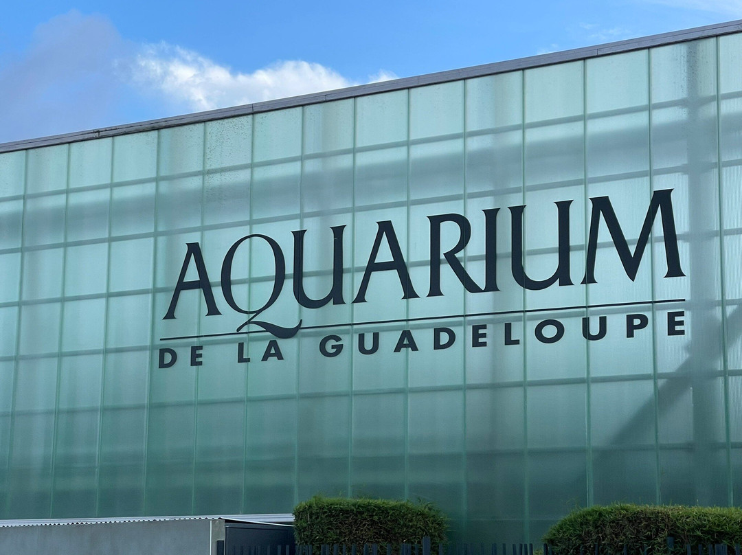 Aquarium de la Guadeloupe-Le Gosier必去景点