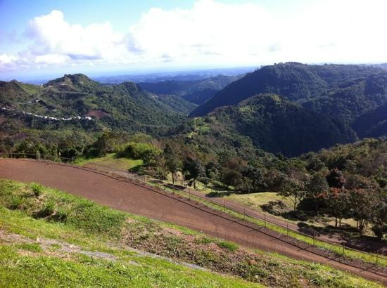 Toro Verde-Orocovis必去景点