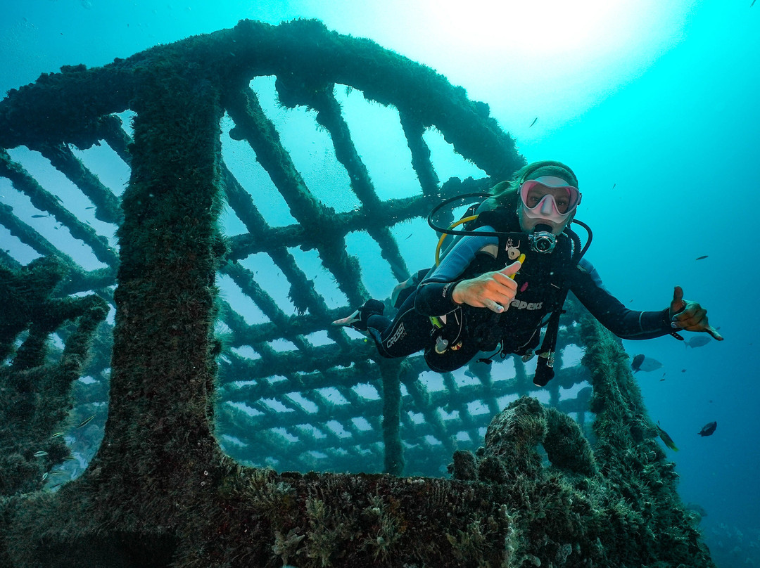 Punta Norte Diving景点图片