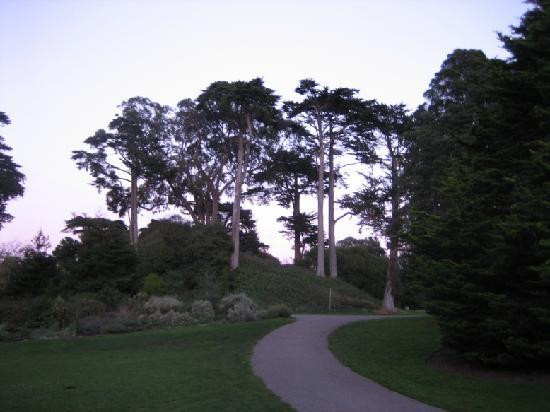 斯翠宾植物园旧金山植物园-旧金山必去景点